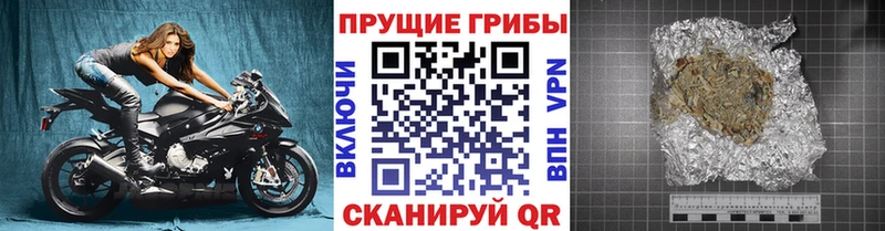 Купить  Красноуфимск  Псилоцибиновые грибы Cubensis 